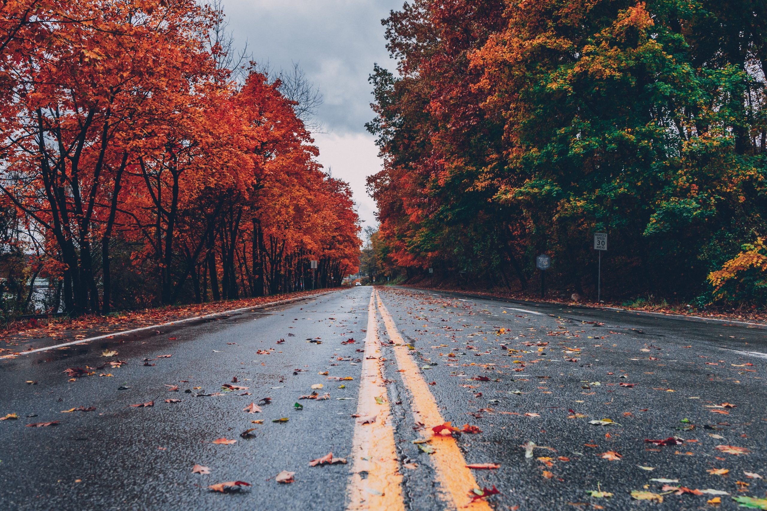 Dealing with Fall Allergies and Staying Healthy