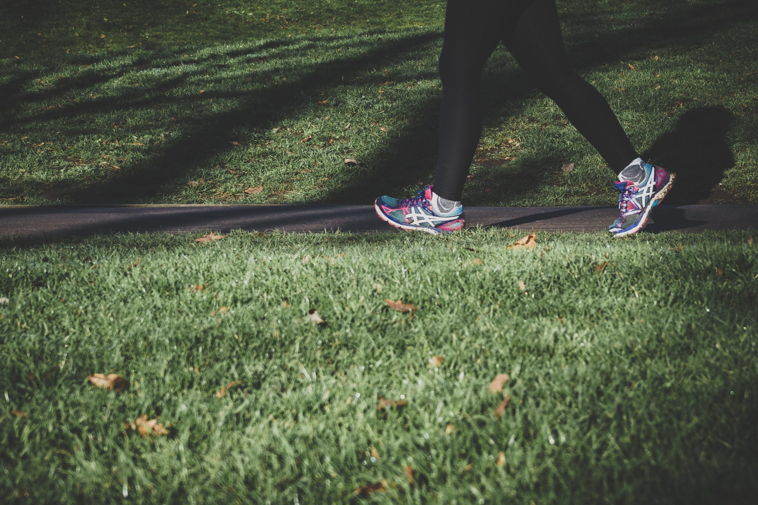 The Impact of Walking Speed on Type 2 Diabetes Risk
